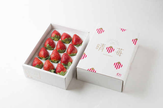 岡山県産いちご「晴苺(はれいちご)」約900g(450g×2パック)